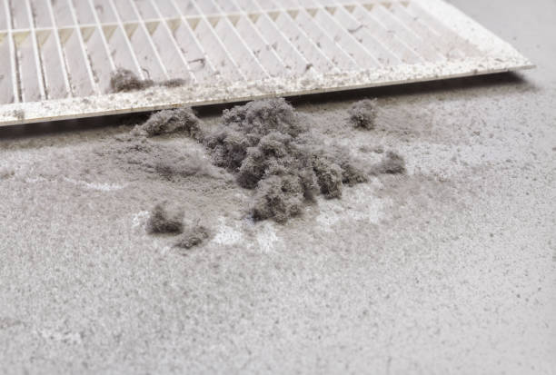 Best Residential Air Duct Cleaning  in Triana, AL