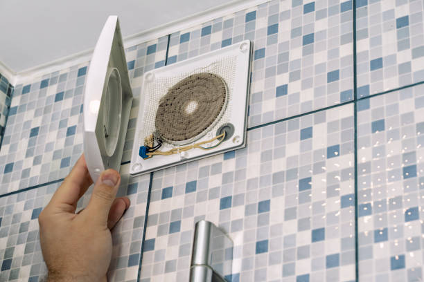 Best Home Air Vent Cleaning  in Triana, AL