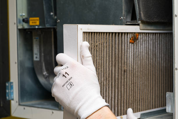 Best Air Duct Cleaning Near Me  in Triana, AL
