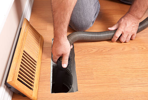 Best Dryer Vent Cleaning Services  in Triana, AL