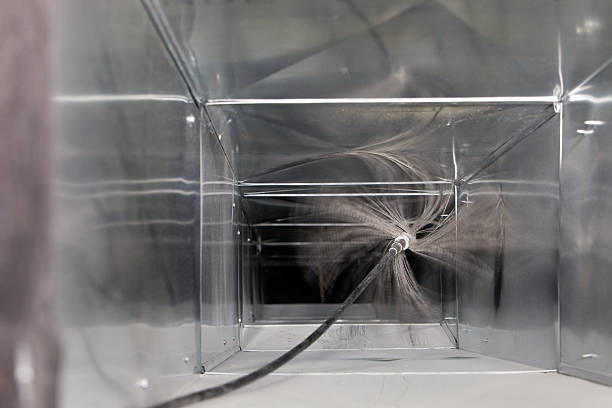 Best Professional Duct Cleaning Services  in Triana, AL