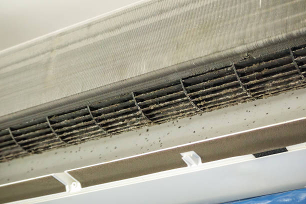 Best Commercial Air Duct Cleaning  in Triana, AL