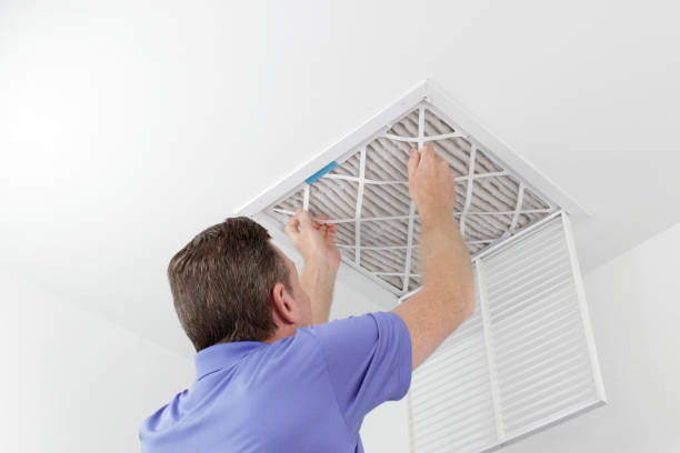 Best Air Vent Cleaning Services  in Triana, AL